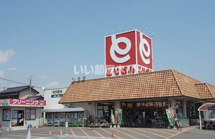 栃木県栃木市藤岡町藤岡(アパート)の賃貸物件の周辺