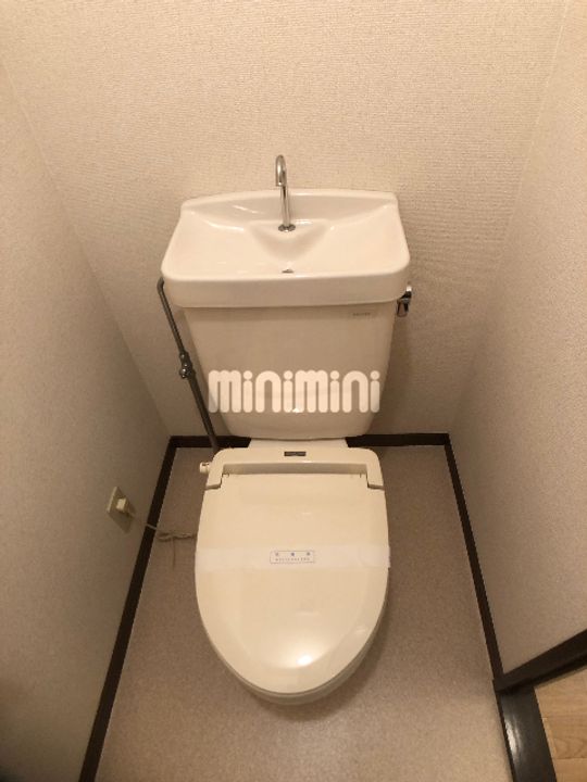 Surplus One フローラの内装