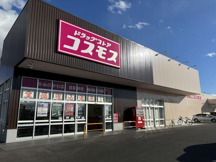 モダン・プリムローズの周辺