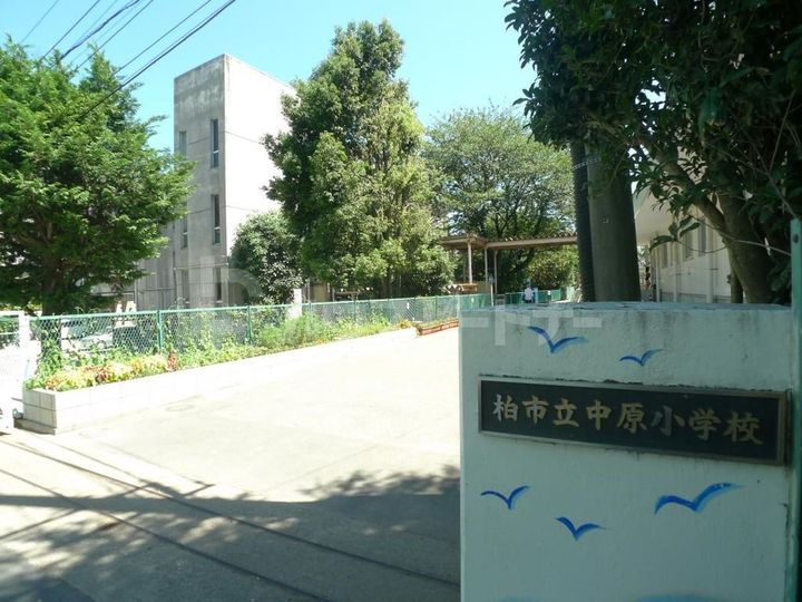 アークライフの周辺
