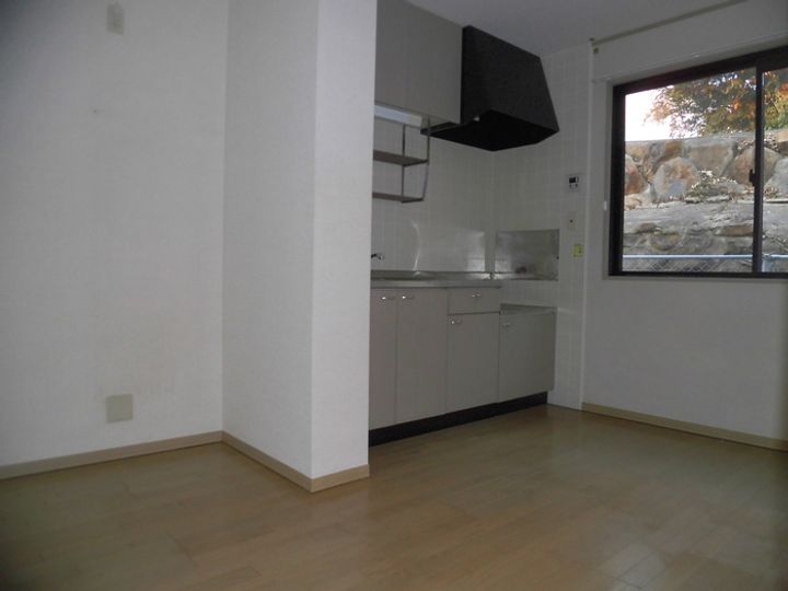 ロイヤルガーデン永田B棟の居間