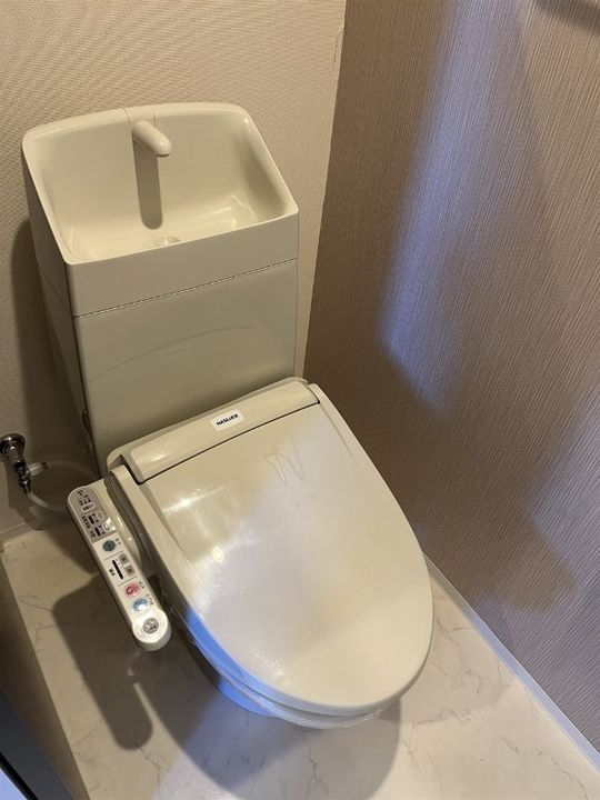 静岡県浜松市中央区領家3(アパート)の賃貸物件の内装