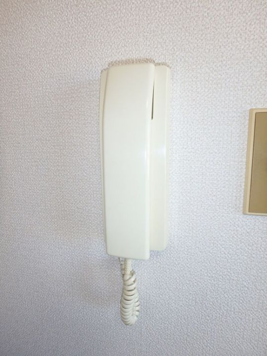 グリーンヴィラ吉村の内装