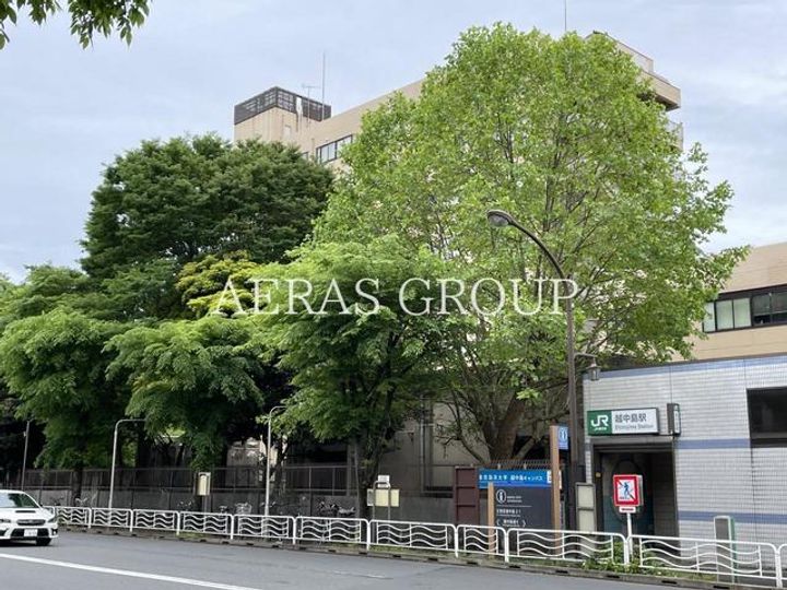 プレミスト月島の周辺