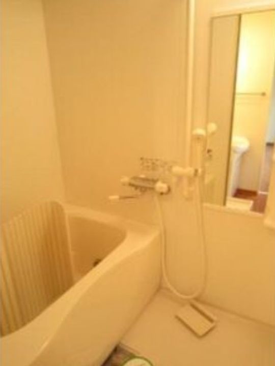 千葉県市川市平田3(アパート)の賃貸物件の内装