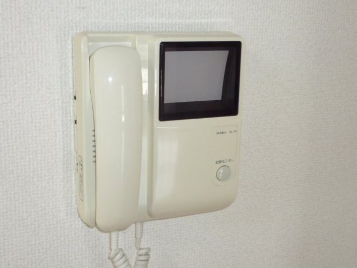神奈川県伊勢原市串橋(アパート)の賃貸物件の内装