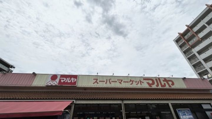 千葉県流山市南流山6(アパート)の賃貸物件の周辺
