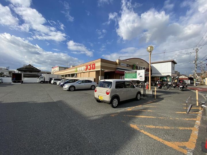 大阪府八尾市恩智中町2(一戸建)の賃貸物件の周辺