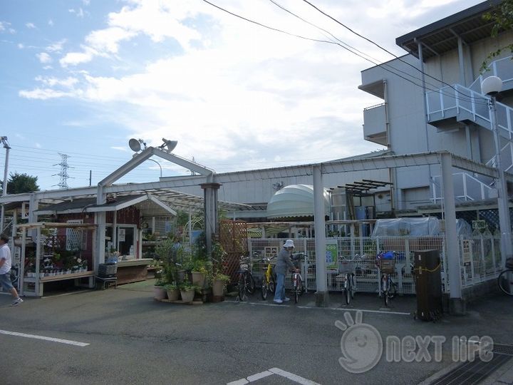 ワイ・エスあけのの周辺