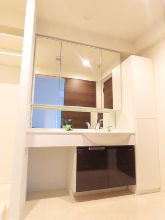 千葉県習志野市藤崎2(マンション)の賃貸物件の内装