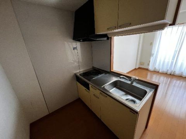 ビックバレー Iのキッチン