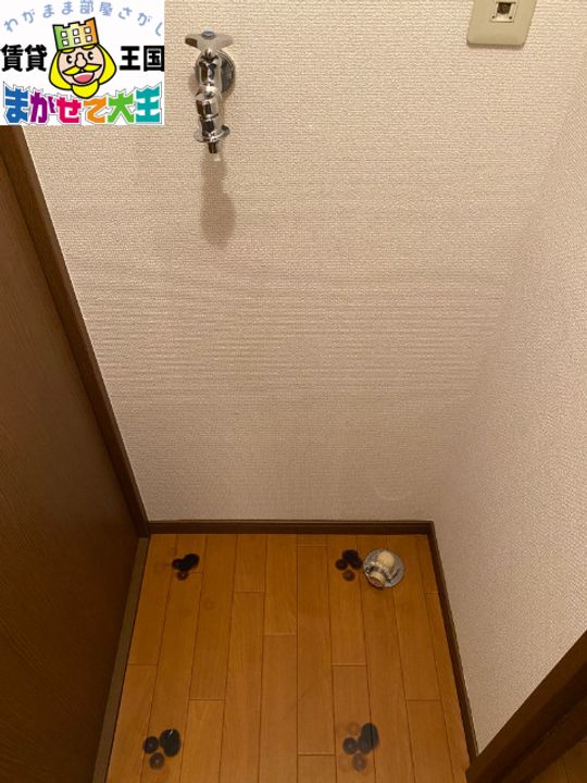 プラムカリーノのその他画像