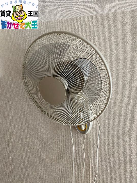 プラムカリーノの内装