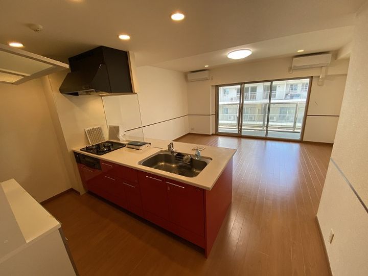 ロイヤルパークス新田のキッチン