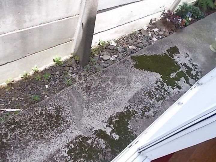 シャルムスズキVの内装