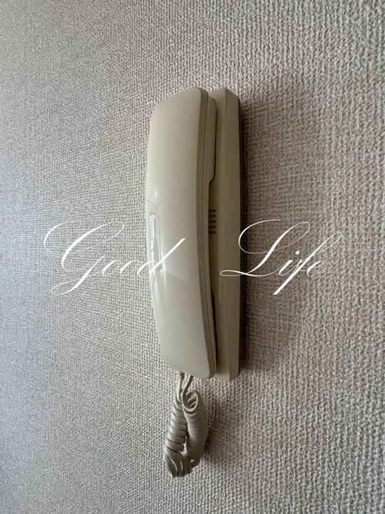 兵庫県丹波篠山市大沢新(アパート)の賃貸物件の内装