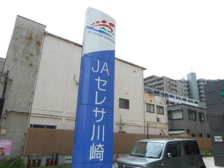 フィーノ武蔵小杉の周辺