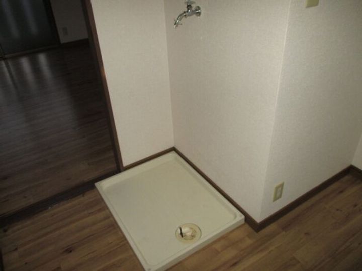 ヤングユーカリのその他画像