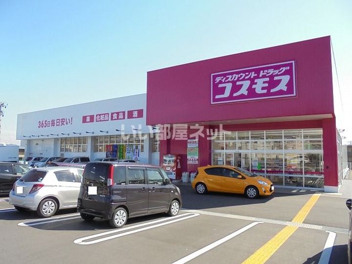 ヤングユーカリの周辺