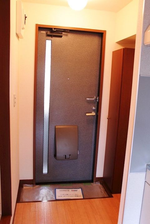 ディアスひばりケ丘Bの玄関