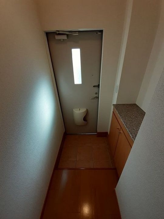 群馬県藤岡市藤岡(アパート)の賃貸物件の玄関