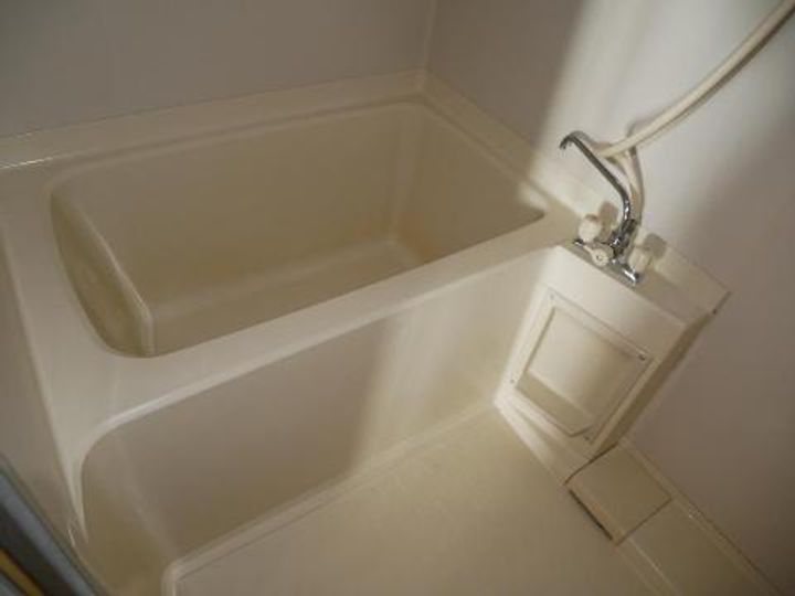 サープラスIIグリーンビレッジの風呂