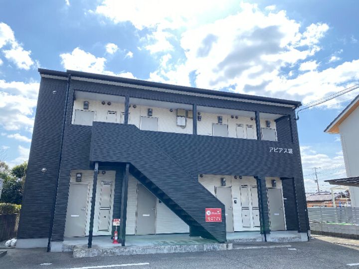アピアス鏡の外観