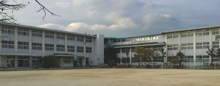 カサベルデー柳の周辺