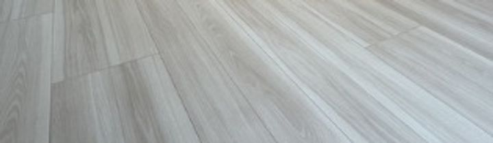 東京都江東区大島1(マンション)の賃貸物件の居間