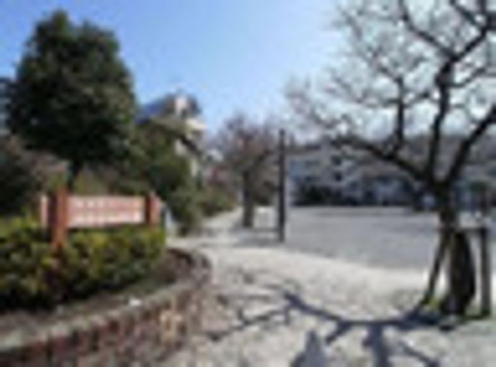 T s Cuore椎名町の周辺