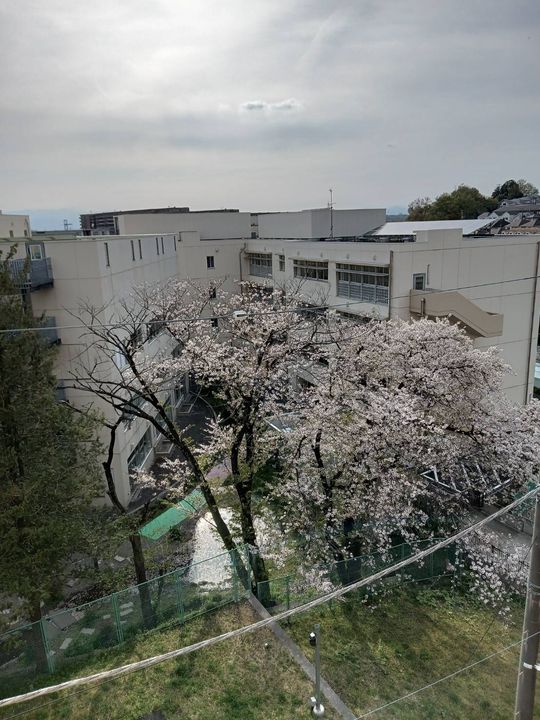 司生堂ビルのその他画像