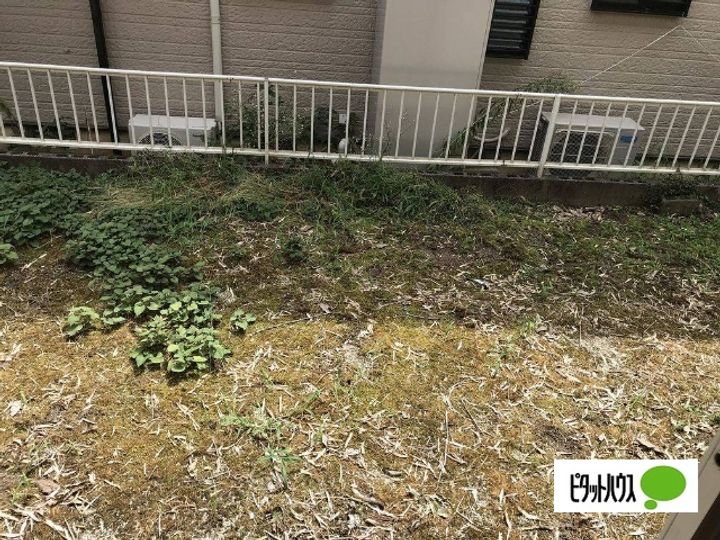 コーポ天徳Bの内装