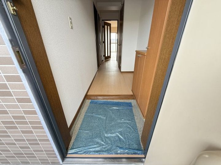 高知県高知市高そね(マンション)の賃貸物件の玄関