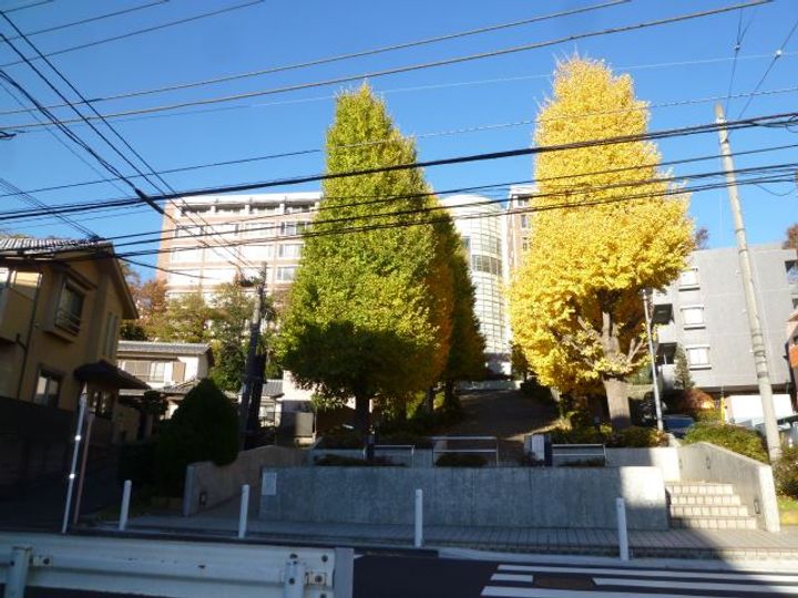 フレンドハイツの周辺