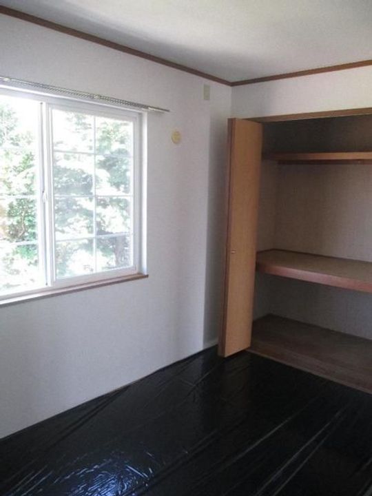 プリムローズのその他画像