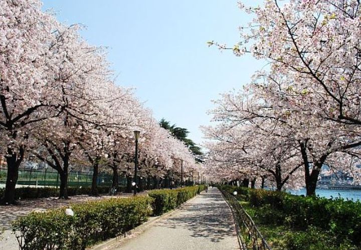 大阪府大阪市北区天満3(マンション)の賃貸物件の周辺