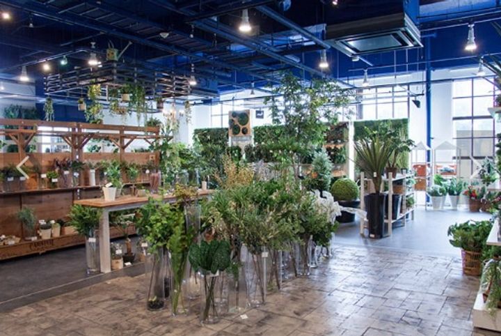 ザ・ヨコハマタワーズタワーイーストの周辺