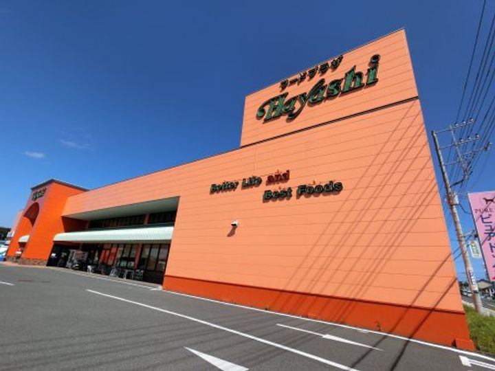 千葉県大網白里市四天木乙(アパート)の賃貸物件の周辺