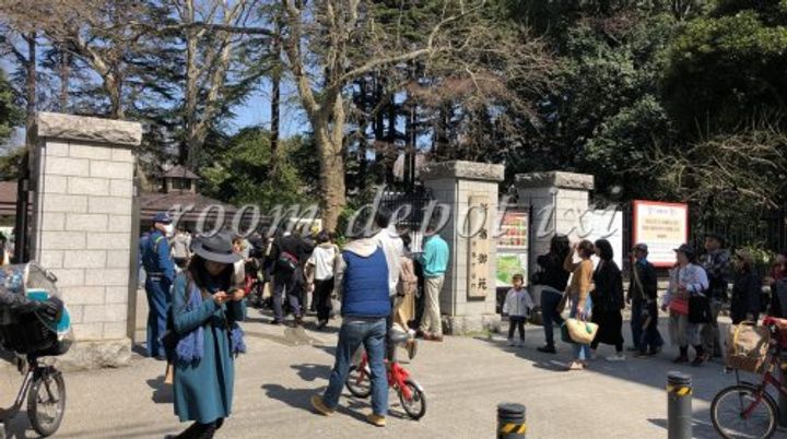 東京都豊島区東池袋2(マンション)の賃貸物件の周辺