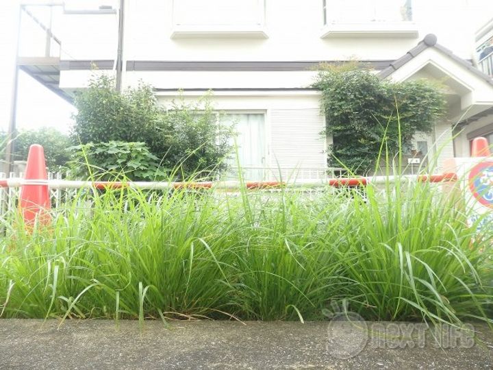 神奈川県相模原市南区上鶴間2(アパート)の賃貸物件のその他画像