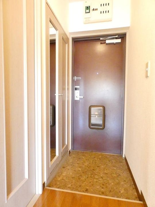 ハイルネッサンスAの玄関