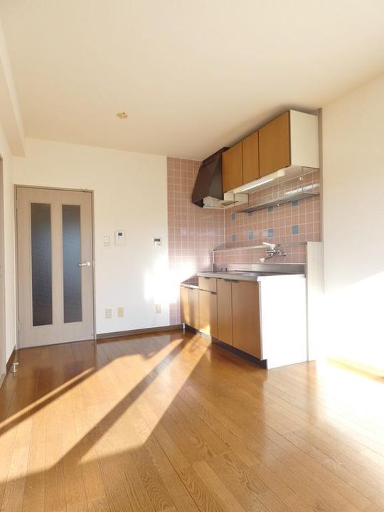 ハイルネッサンスAのその他画像