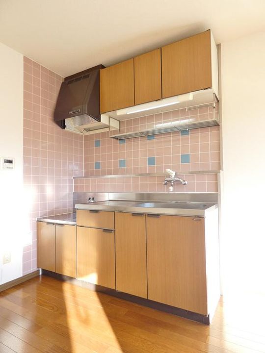 ハイルネッサンスAのキッチン