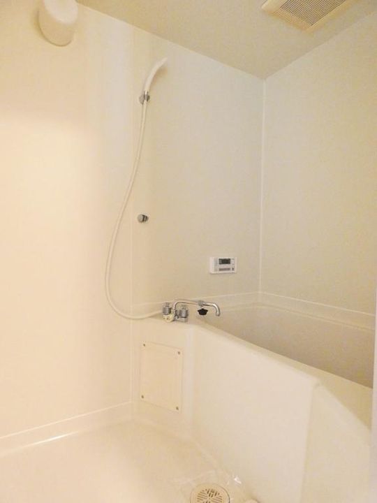 ハイルネッサンスAの風呂