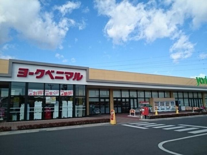 栃木県栃木市大平町下皆川(アパート)の賃貸物件の周辺