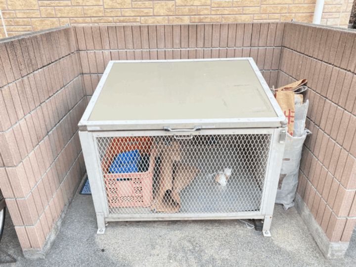 tierraのその他画像