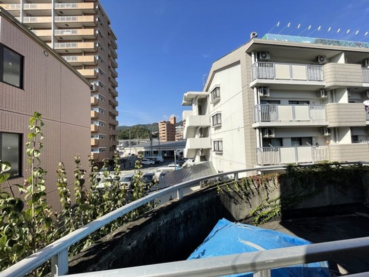 バザレビルのその他画像