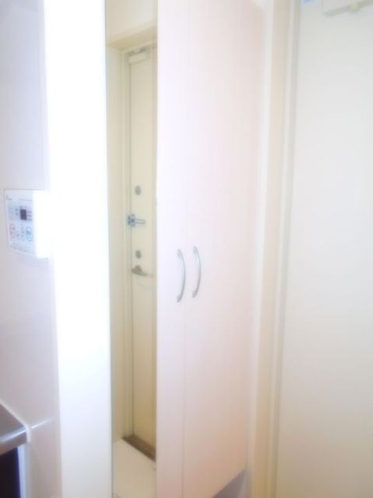 埼玉県川越市新富町2(アパート)の賃貸物件の玄関