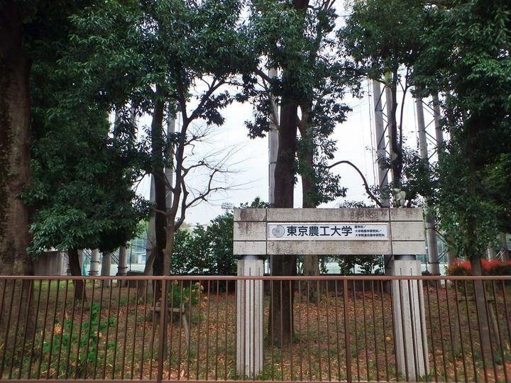 東京都国立市東1(アパート)の賃貸物件の周辺