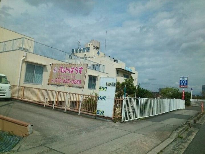 サンフローレの周辺